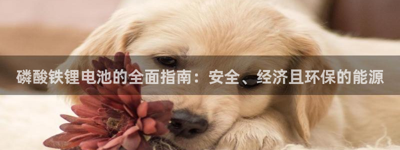 尊龙凯时美金能提取吗