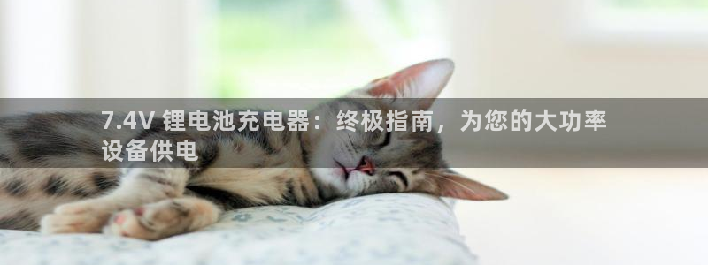 尊龙这个平台怎么样：7.4V 锂电池充电器：终极指南，为您的大功率
设备供电