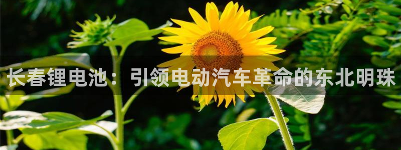 尊龙手机客户端下载APP