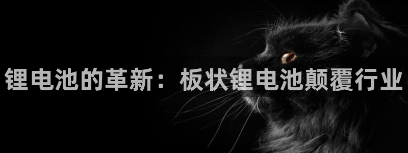 尊龙凯时 人生就是搏客服