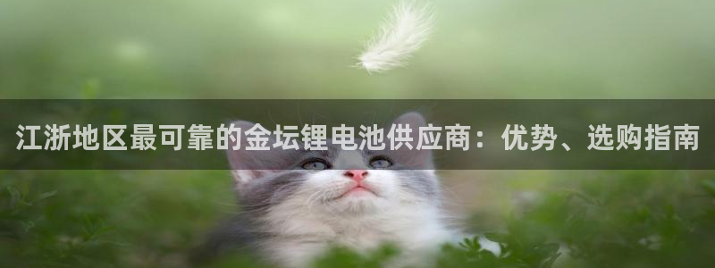 尊龙凯时是赌博嘛：江浙地区最可靠的金坛锂电池供应商：优势、选购指南