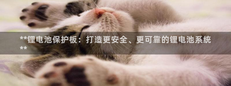 尊龙人生就是博旗舰厅