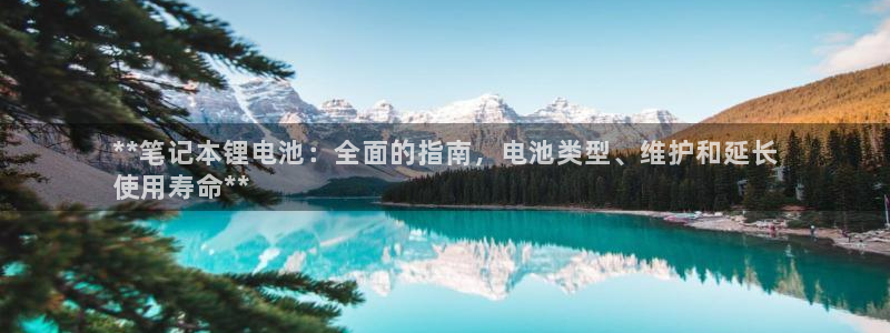 尊龙凯时充值不到账：**笔记本锂电池：全面的指南，电池类型、维护和延长
使用寿命**