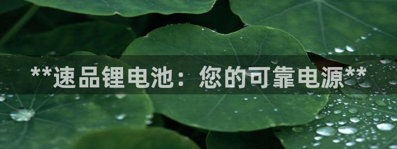 尊龙d88现金可来就送38：**速品锂电池：您的可靠电源**