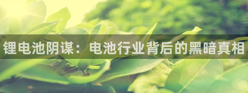 尊龙凯时城游戏官网：锂电池阴谋：电池行业背后的黑暗真相