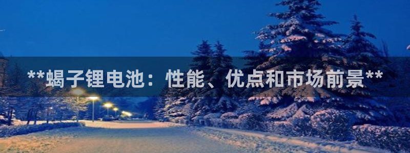 尊龙凯时网娱乐官网：**蝎子锂电池：性能、优点和市场前景**