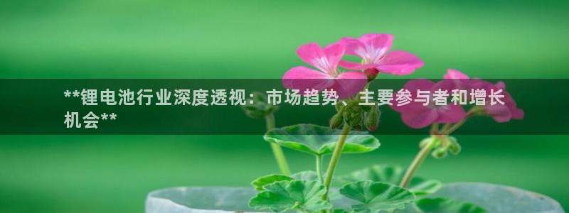 凯时网址多少：**锂电池行业深度透视：市场趋势、主要参与者和增长
机会**