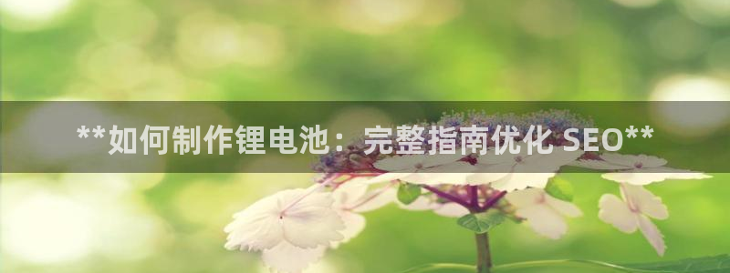 尊龙人生手机版：**如何制作锂电池：完整指南优化 SEO**