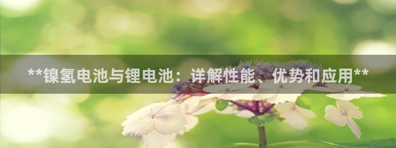 尊龙下载推荐网站：**镍氢电池与锂电池：详解性能、优势和应用**