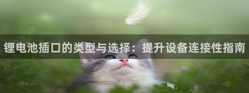 尊龙凯时能提现吗：锂电池插口的类型与选择：提升设备连接性指南