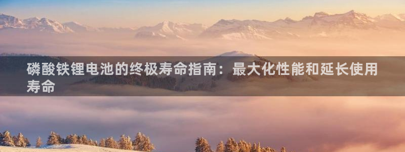 尊龙新版人生就是博!：磷酸铁锂电池的终极寿命指南：最大化性能和延长使用
寿命