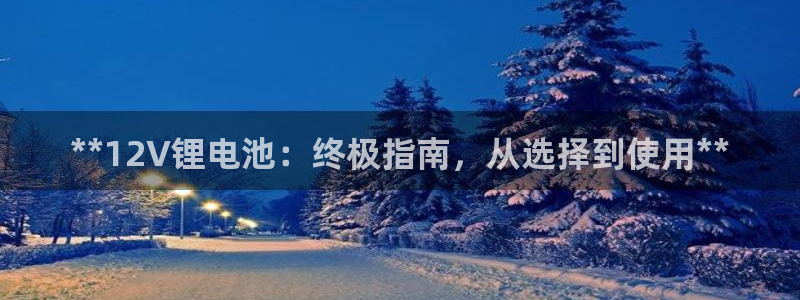 尊龙官网登录·(中国)官方网站-bd SPORTS：**12V锂电池：终极指南，从选择到使用**