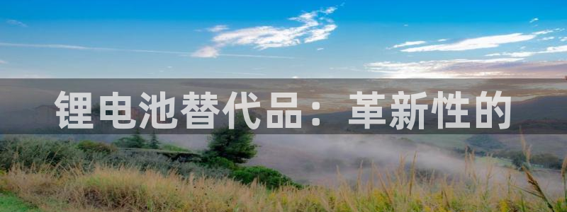 尊龙集团有限公司招聘：锂电池替代品：革新性的