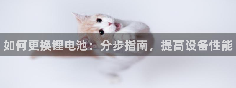 百度一下尊龙：如何更换锂电池：分步指南，提高设备性能