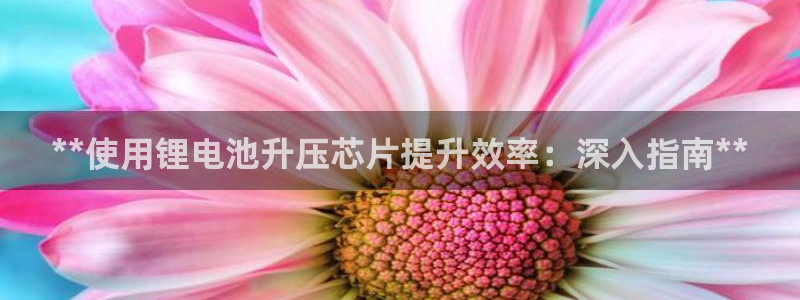 尊龙游戏官方网：**使用锂电池升压芯片提升效率：深入指南**