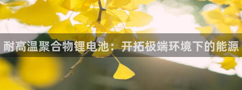 尊龙人生就是博登录准认来就送38：耐高温聚合物锂电池：开拓极端环境下的能源