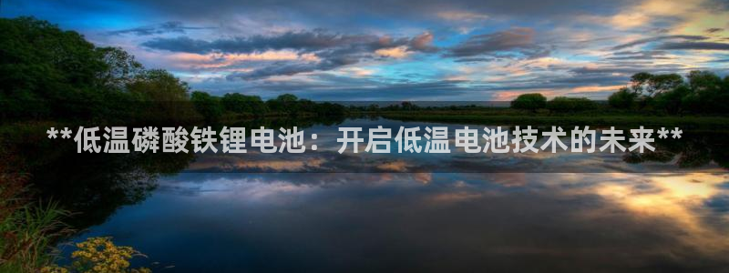 尊龙信息科技有限公司：**低温磷酸铁锂电池：开启低温电池技术的未来**