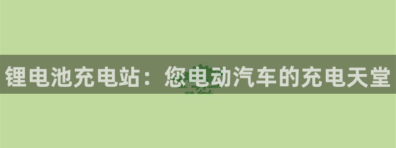 尊龙网站注册站注册：锂电池充电站：您电动汽车的充电天堂