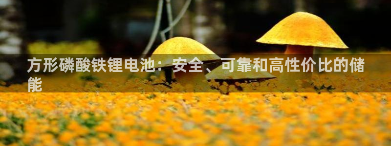 尊龙旗舰app