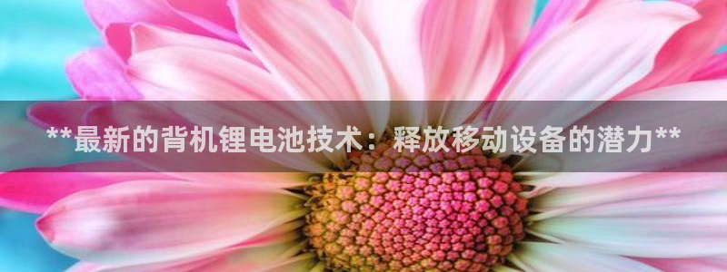 尊龙内地：**最新的背机锂电池技术：释放移动设备的潜力**