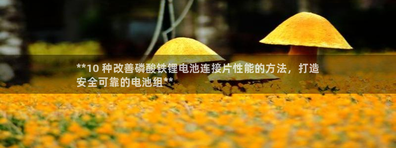 尊龙凯时百万奖池：**10 种改善磷酸铁锂电池连接片性能的方法，打造
安全可靠的电池组**