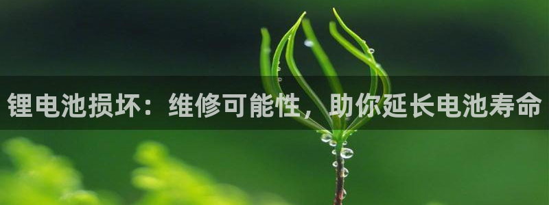 尊龙凯时怎么样没听说过：锂电池损坏：维修可能性，助你延长电池寿命
