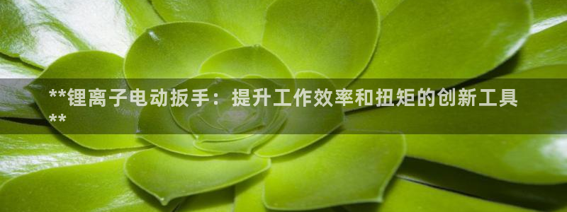 尊龙人生就是-首页：**锂离子电动扳手：提升工作效率和扭矩的创新工具
**