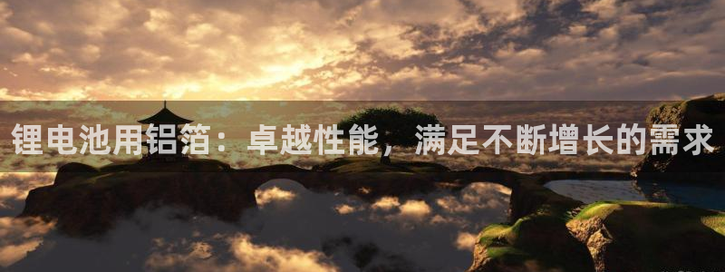 尊龙实业 吴友良：锂电池用铝箔：卓越性能，满足不断增长的需求