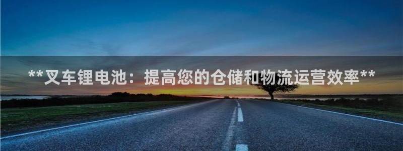 尊龙凯时人生就是博游戏网站：**叉车锂电池：提高您的仓储和物流运营效率**
