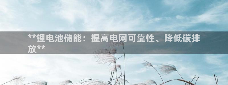 凯时国际网站域名：**锂电池储能：提高电网可靠性、降低碳排
放**
