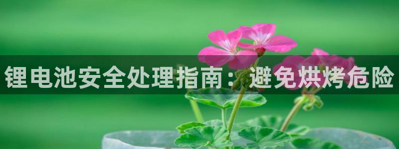 尊龙人生就是博ag旗舰厅：锂电池安全处理指南：避免烘烤危险