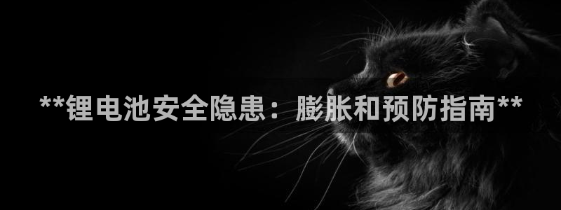 尊龙新版官网网页版：**锂电池安全隐患：膨胀和预防指南**