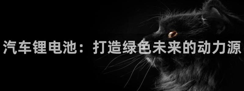 尊龙体育游戏平台：汽车锂电池：打造绿色未来的动力源