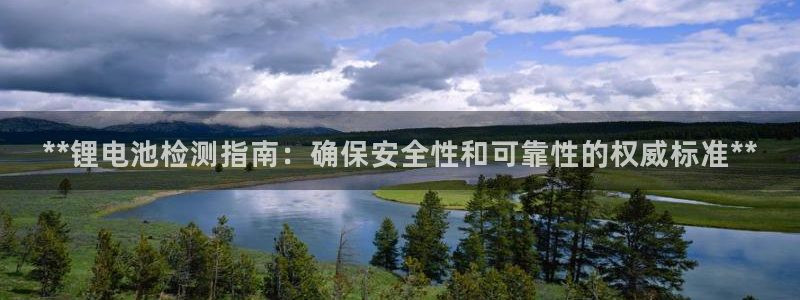 尊龙app认可ag发财网：**锂电池检测