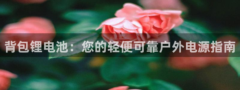 尊龙l1500：背包锂电池：您的轻便可靠户外电源指南