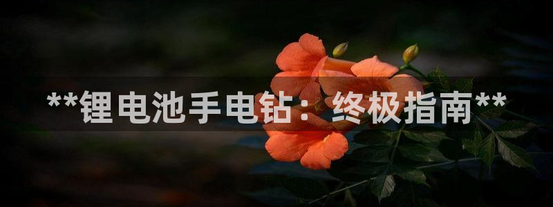 尊龙凯时企业文化：**锂电池手电钻：终极