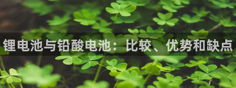 尊龙d88现金 旧版本可靠送38元：锂电池与铅酸电池：比较、优势和缺点