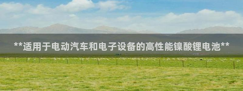 尊龙人生就是博网站下载：**适用于电动汽