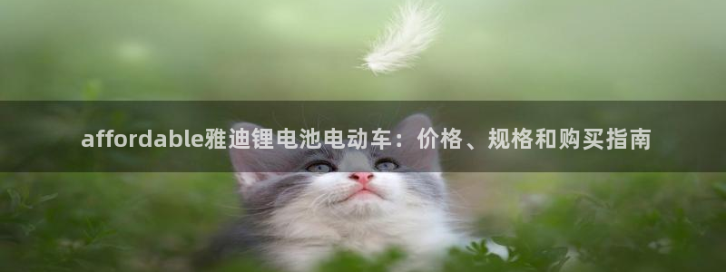 凯时国际娱乐官方网址： affordable雅迪锂电池电动车：价格、规格和购买指南