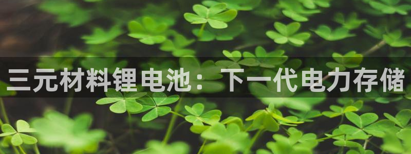 尊龙新版app首页