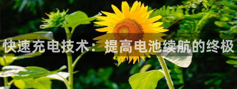 尊龙凯时人生就是搏平台