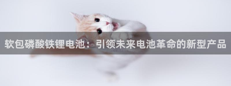 尊龙凯时