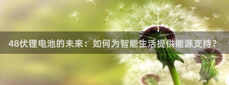 尊龙官网网页版