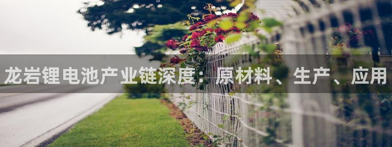 凯时kb88kb88：龙岩锂电池产业链深度：原材料、生产、应用