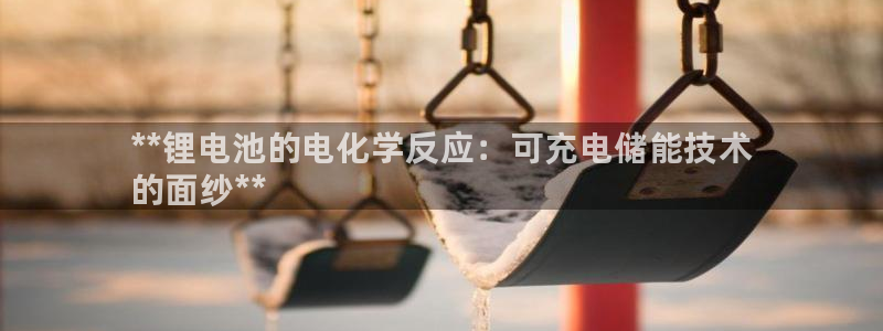 尊龙人生就是博ag：**锂电池的电化学反应：可充电储能技术
的面纱**