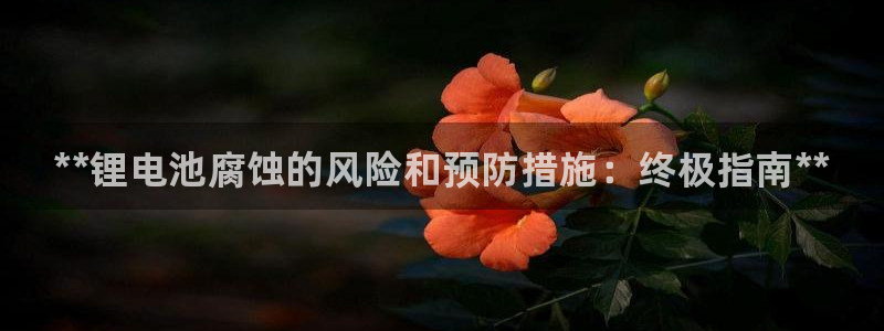 凯时k8娱乐唯一官网：**锂电池腐蚀的风险和预防措施：终极指南**