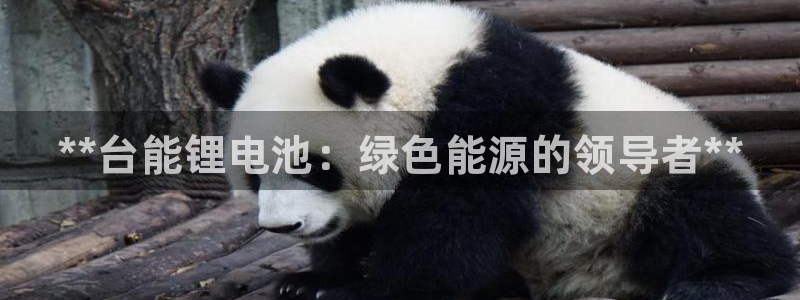 尊龙ag旗舰厅官网登录：**台能锂电池：绿色能源的领导者**