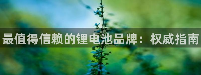尊龙凯时 人生就是搏：最值得信赖的锂电池
